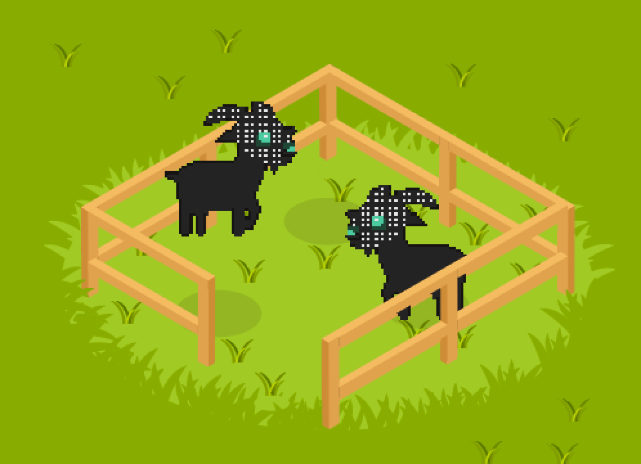 Second sheep inside fence